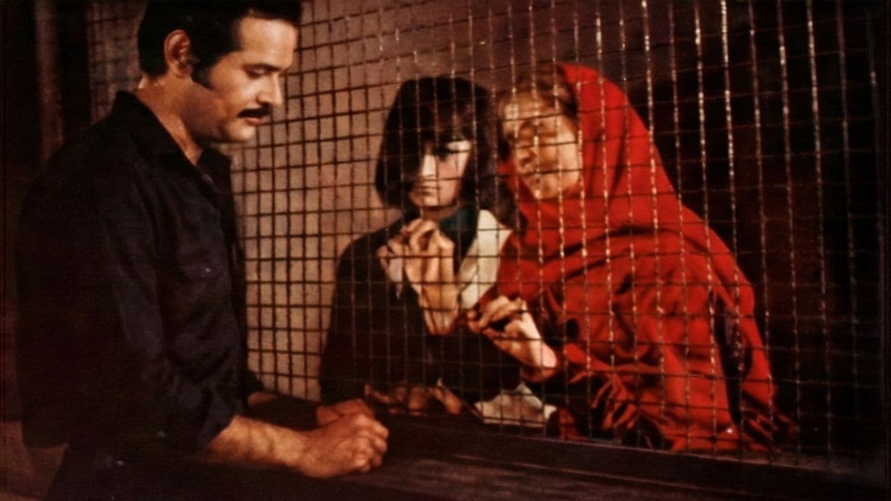 Backdrop – Quinto patio