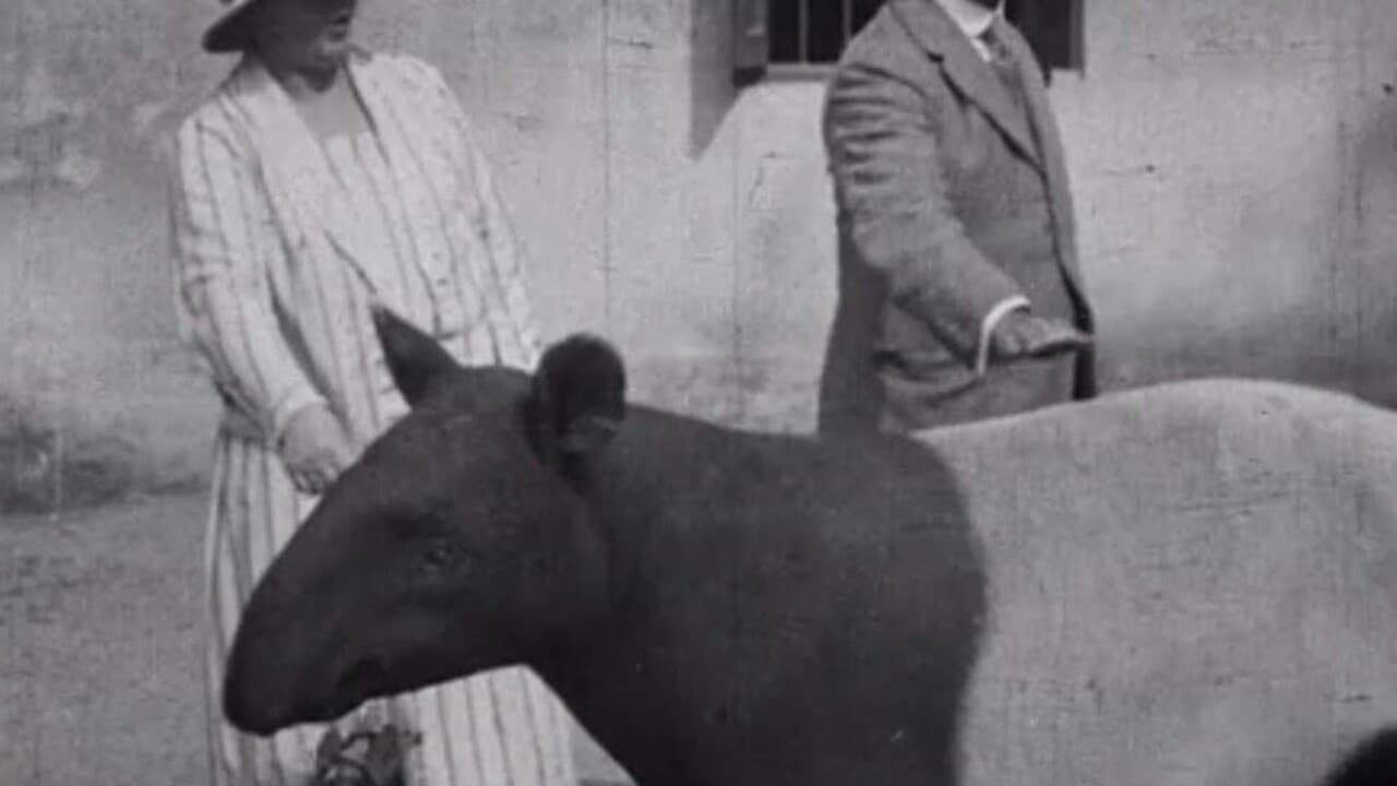 Backdrop – Indian Wildlife Park