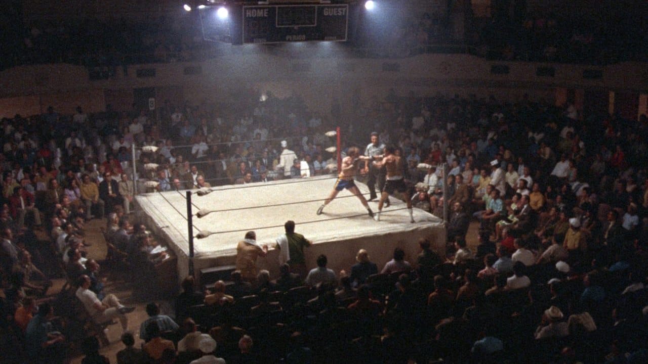 Backdrop – Fat City