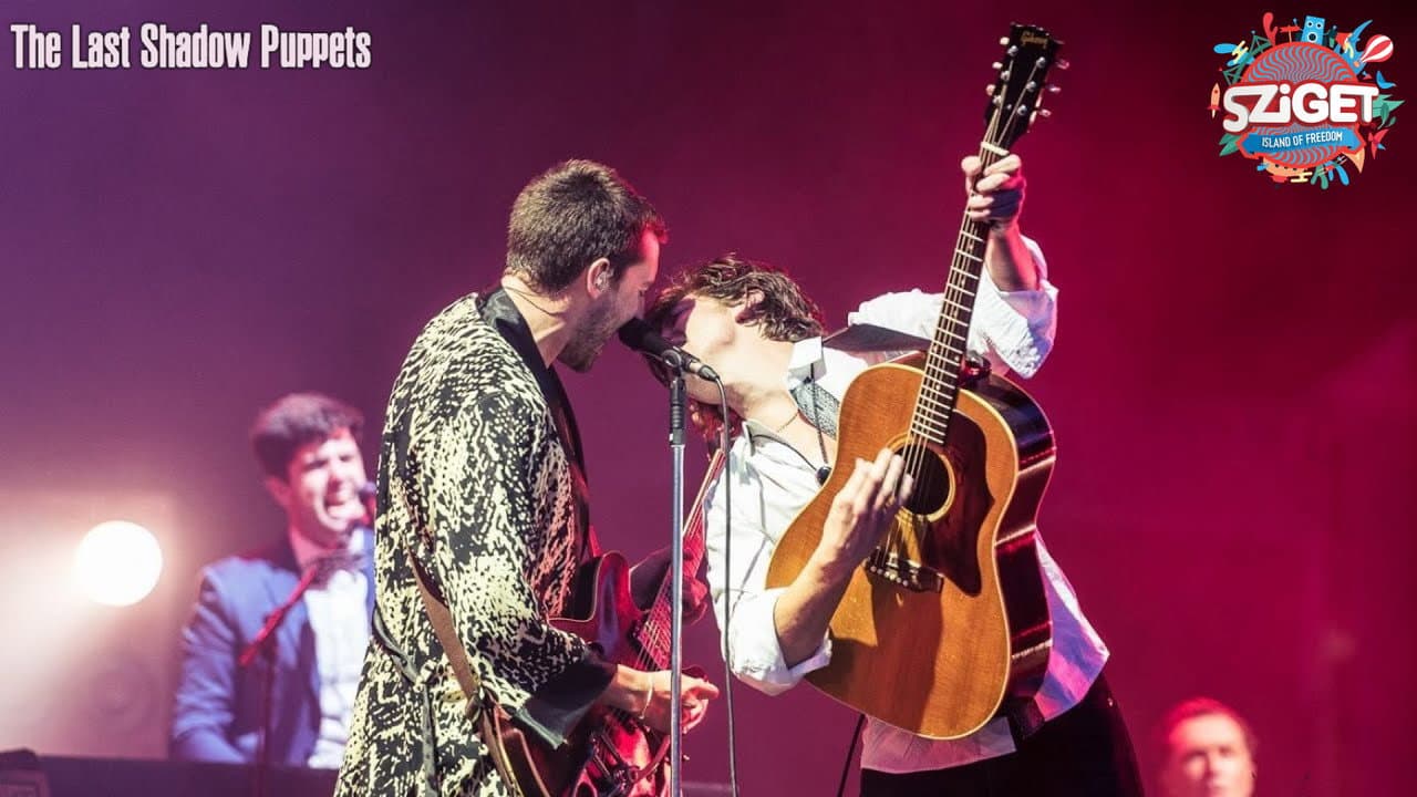 Backdrop – The Last Shadow Puppets at Sziget Festival