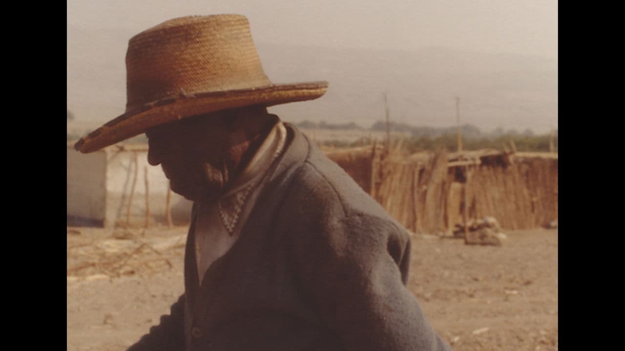 Backdrop – Candico