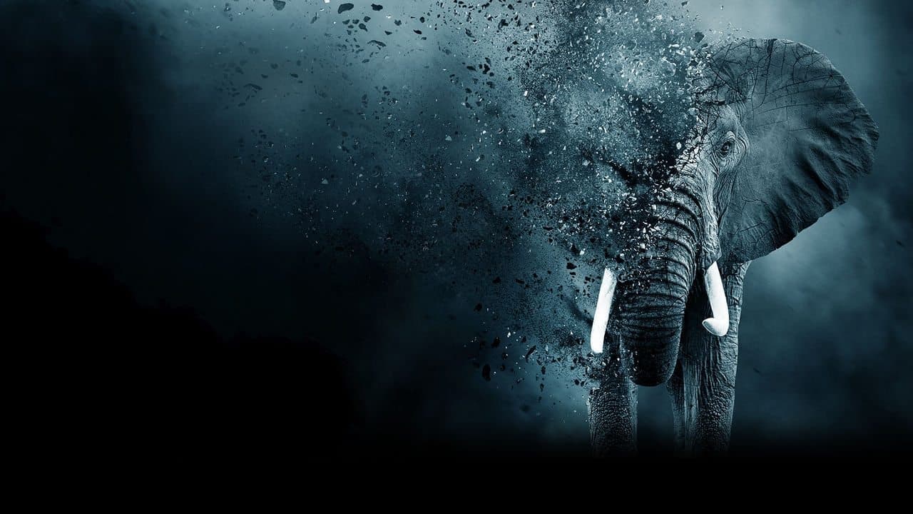 Backdrop – The Ivory Game: Das Elfenbein-Komplott