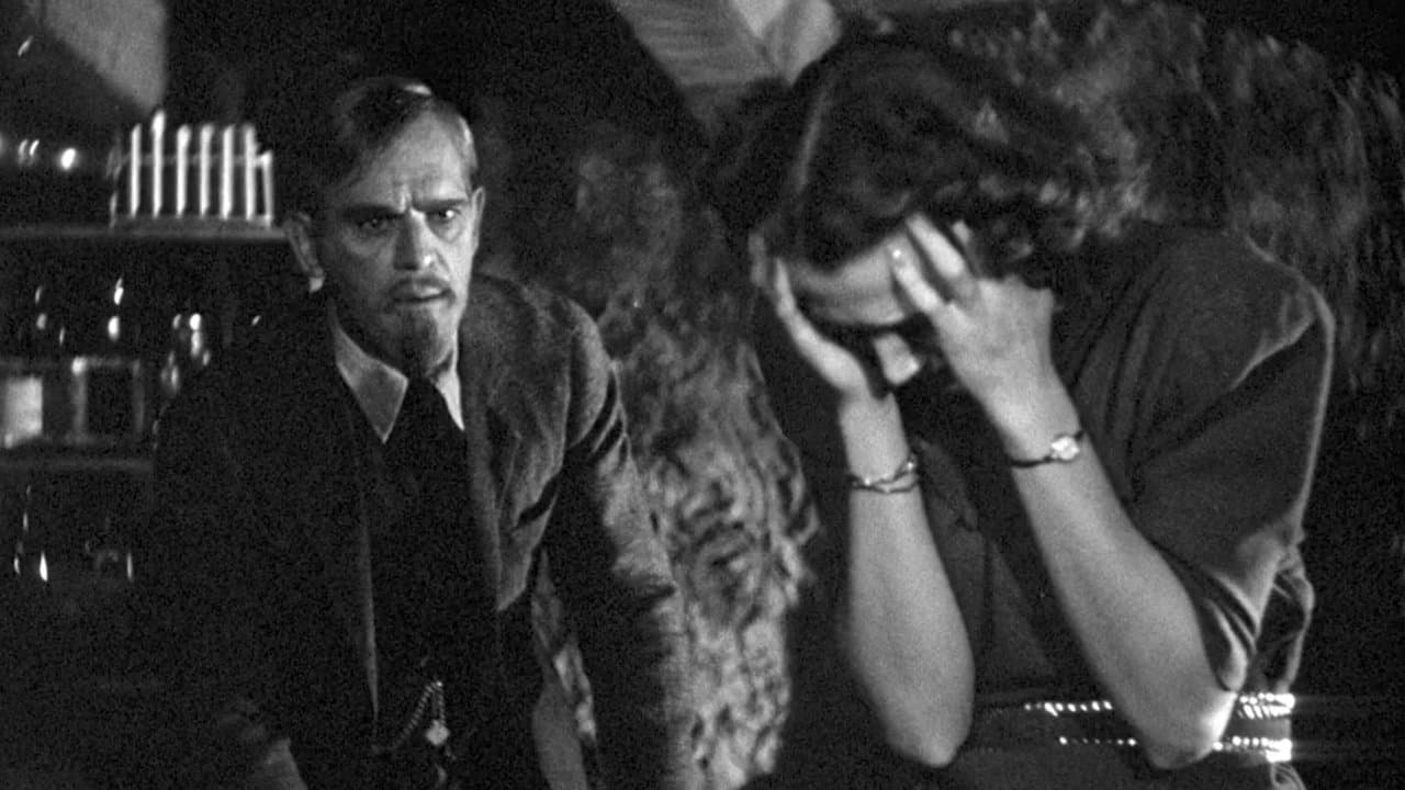 Backdrop – The Man with Nine Lives