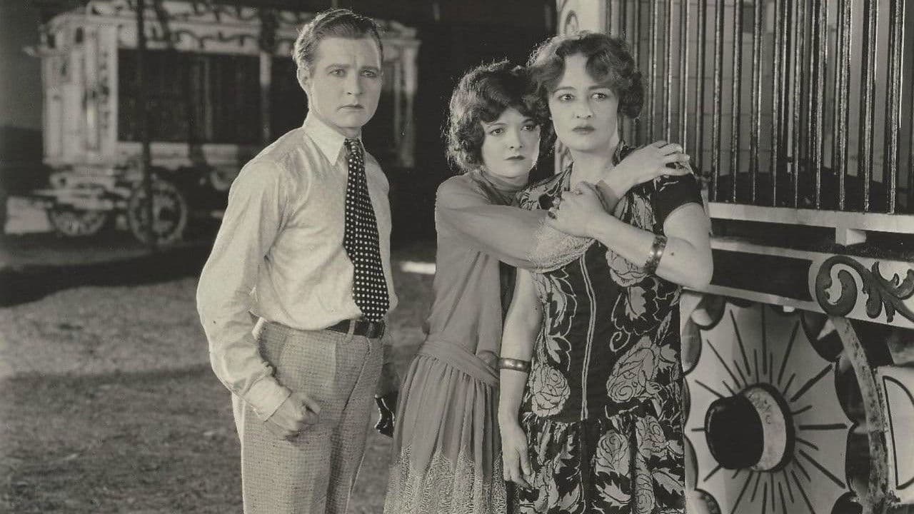 Backdrop – Spangles