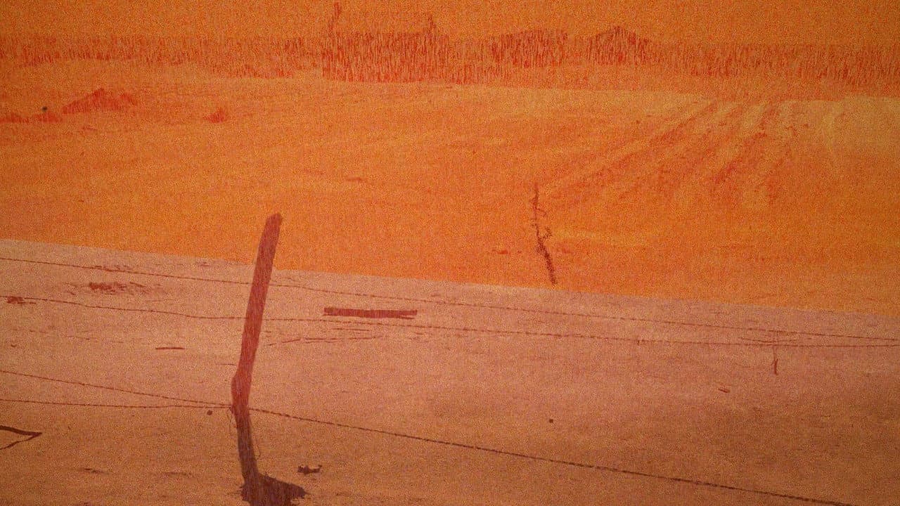 Backdrop – A Robot's Guide to 31st Century Earth