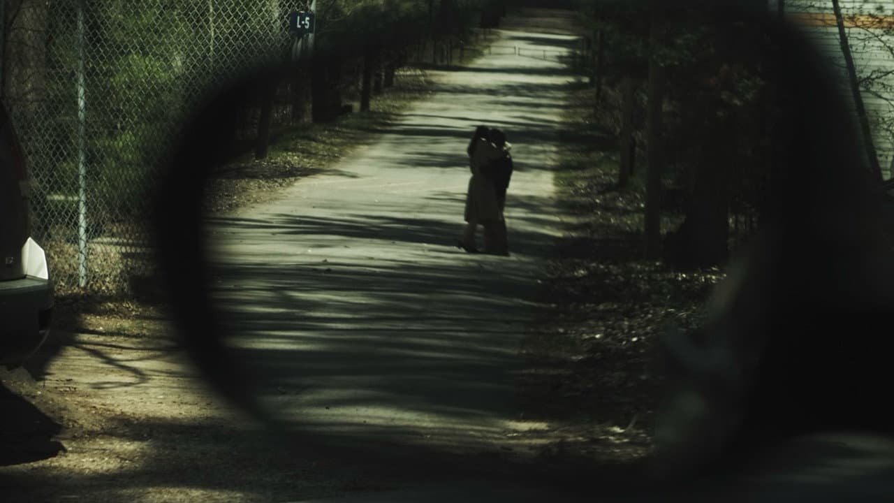 Backdrop – Sight of the Fact
