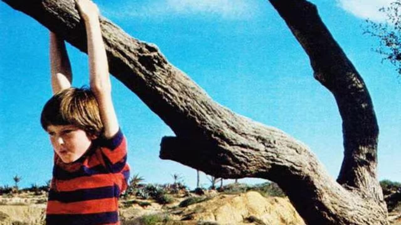 Backdrop – Unverstanden