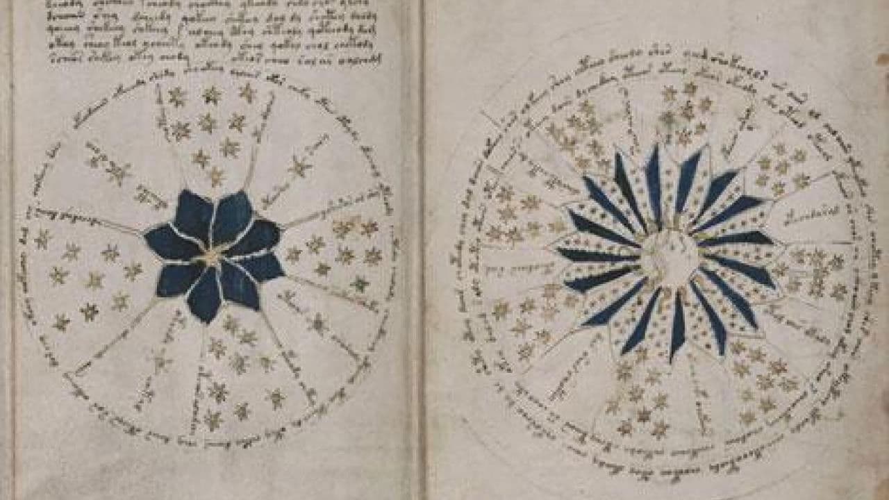 Backdrop – Das Voynich-Rätsel – Die geheimnisvollste Handschrift der Welt