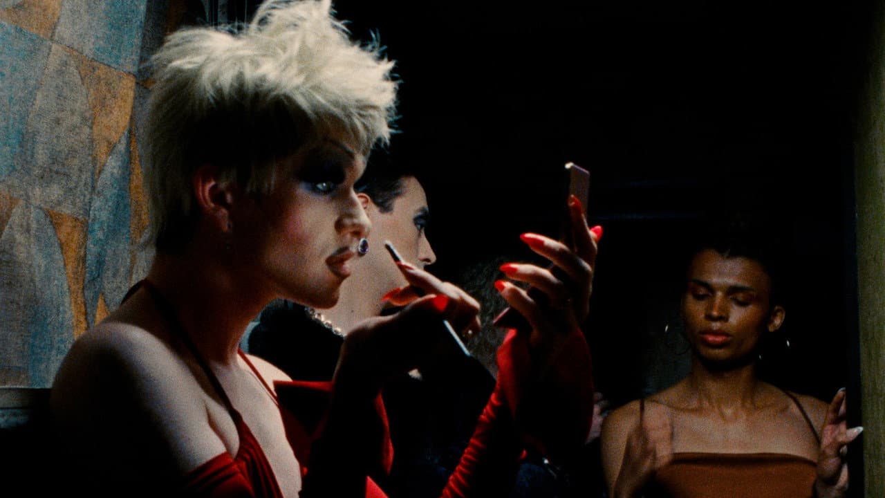 Backdrop – Goodnight Ladies