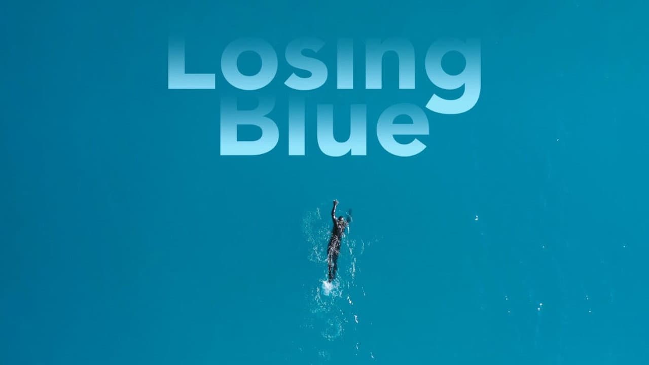 Backdrop – Losing Blue