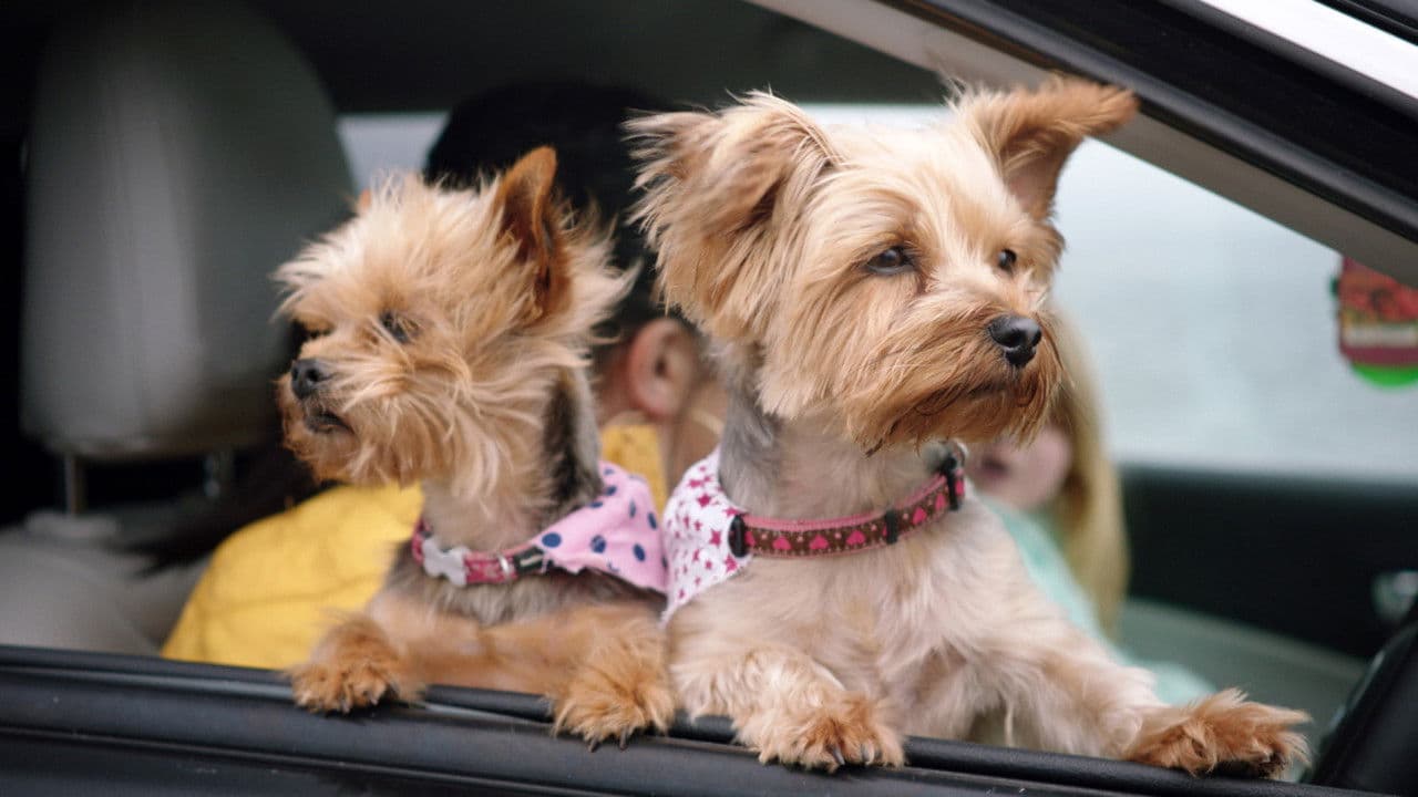 Backdrop – Four Seasons in a Day