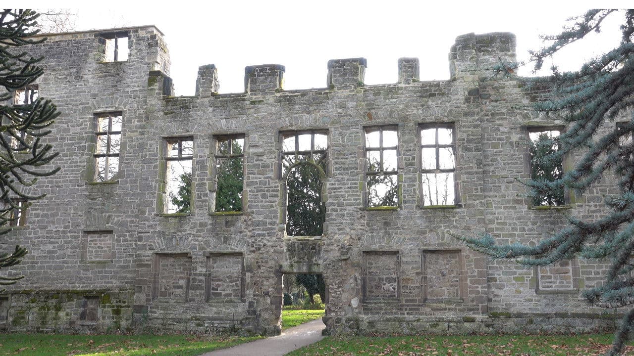 Backdrop – The Coin