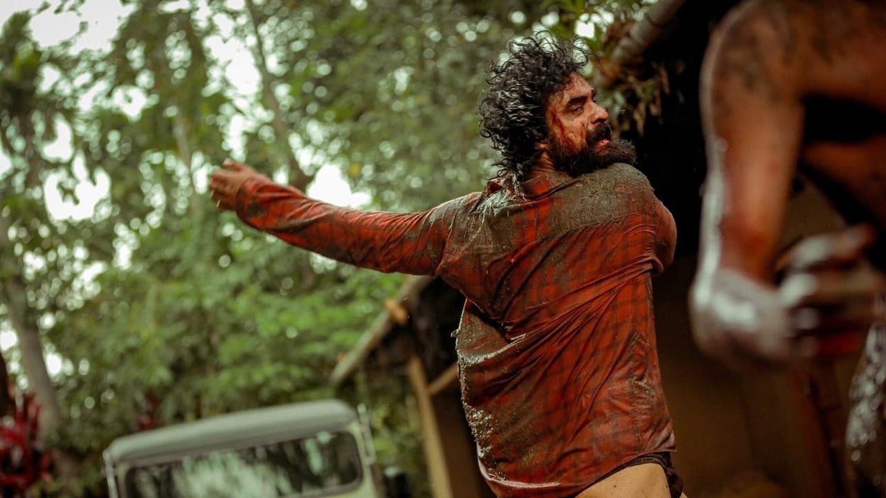 Backdrop – കള