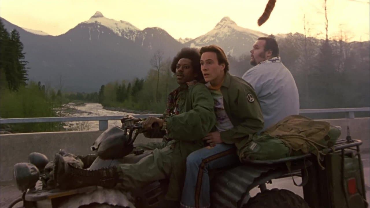 Backdrop – Ohne Worte