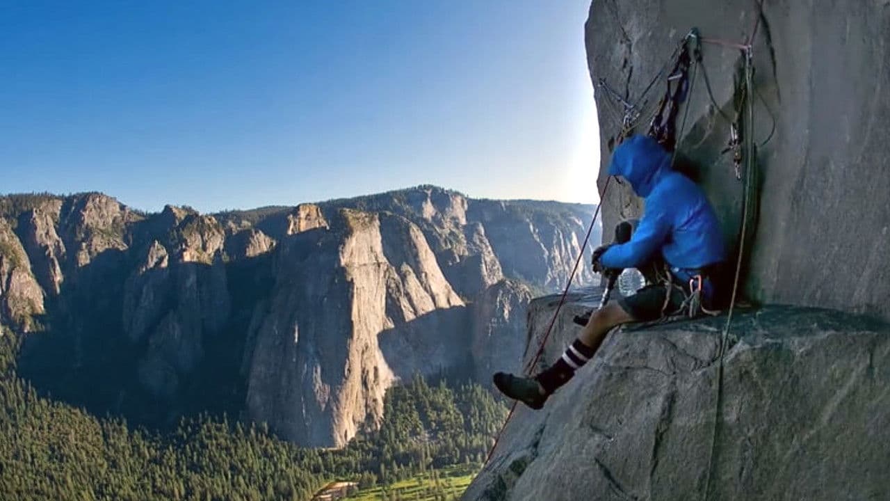 Backdrop – The Gimp Monkeys