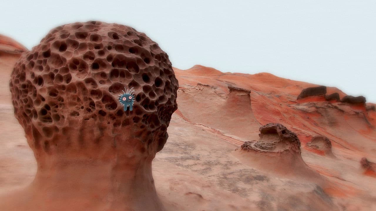 Backdrop – On Memory