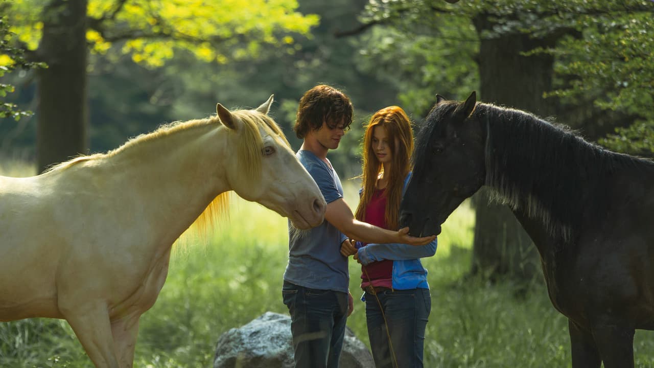 Backdrop – Ostwind 2