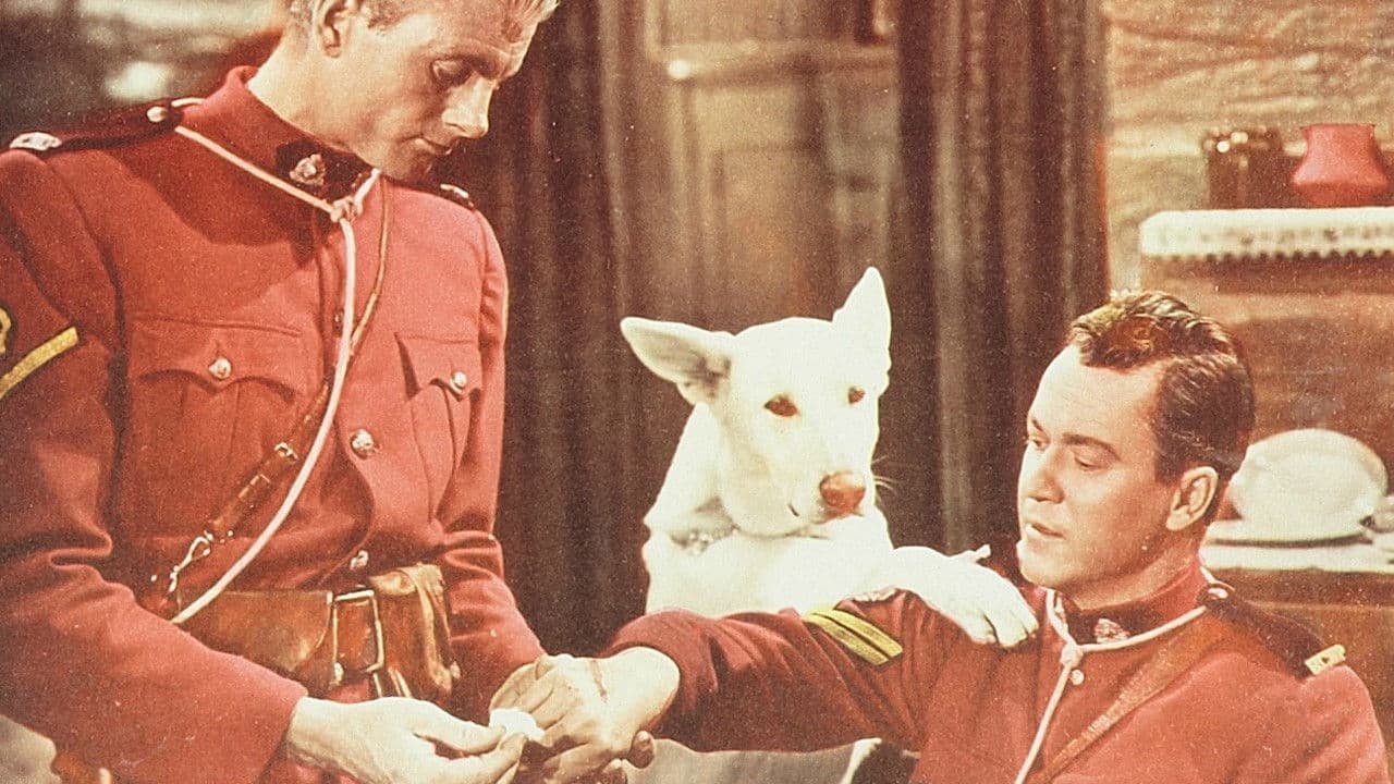 Backdrop – Northern Patrol