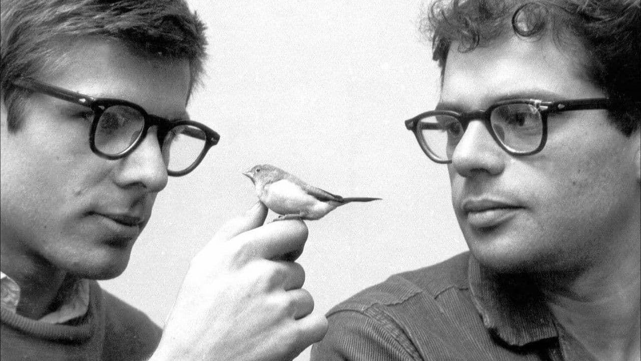 Backdrop – Beat Generation