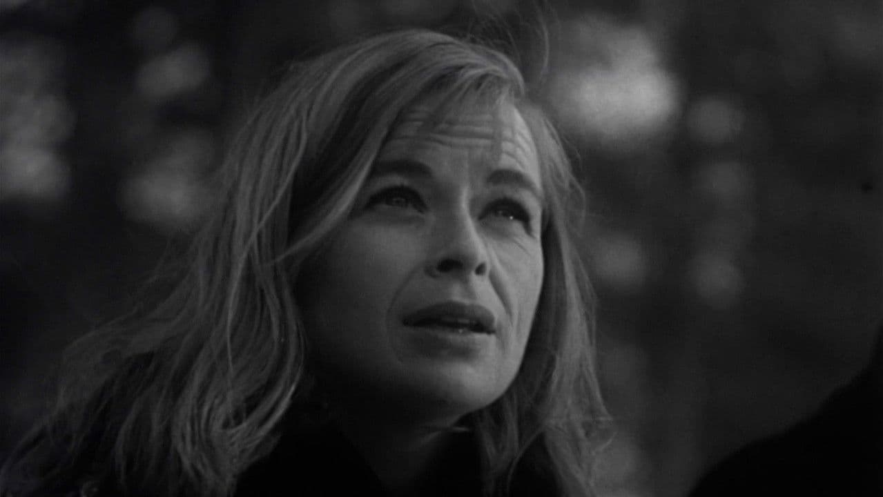 Backdrop – Beast from Haunted Cave