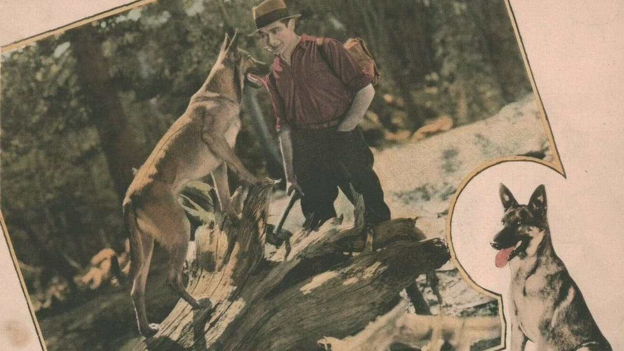 Backdrop – Flaming Fury