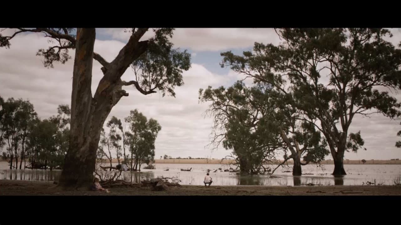 Backdrop – Dry Creek