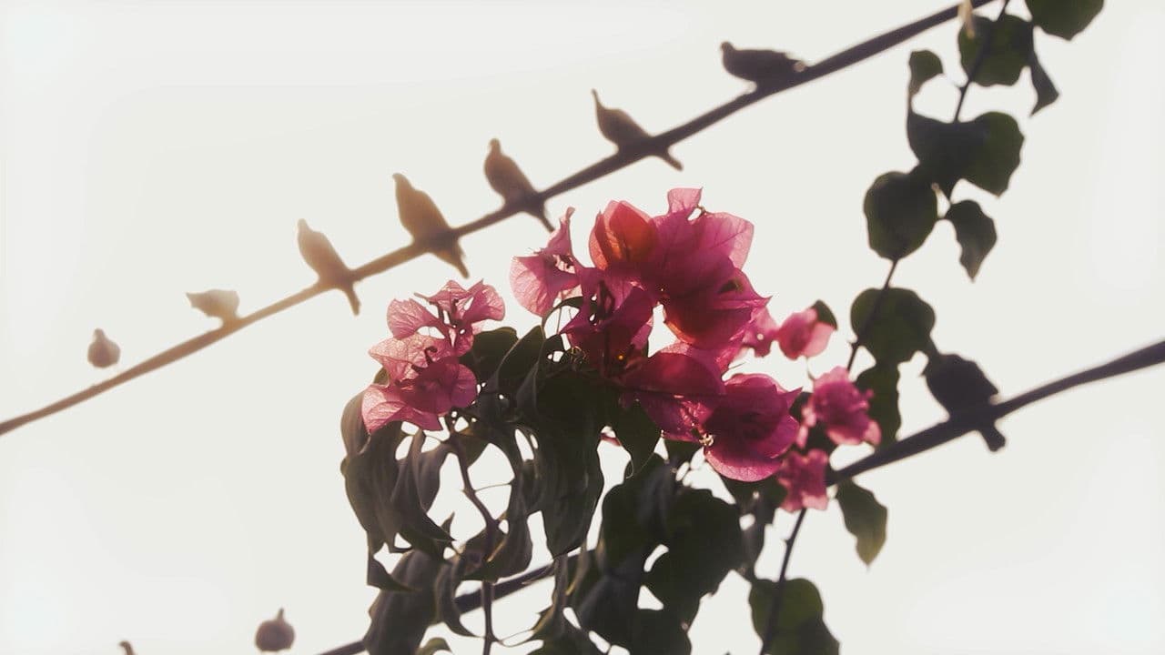 Backdrop – Out of Time