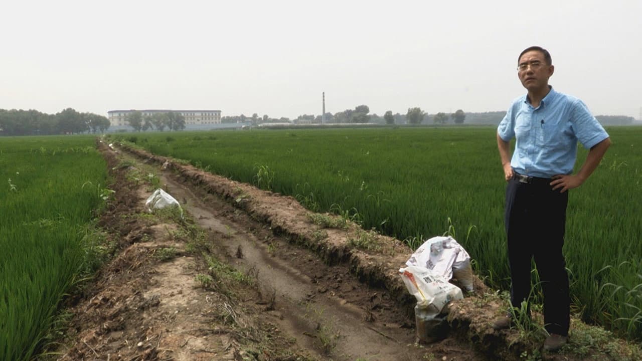 Backdrop – Letter from Masanjia