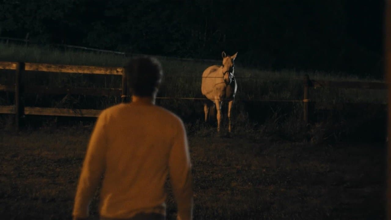 Backdrop – Skin & Bone