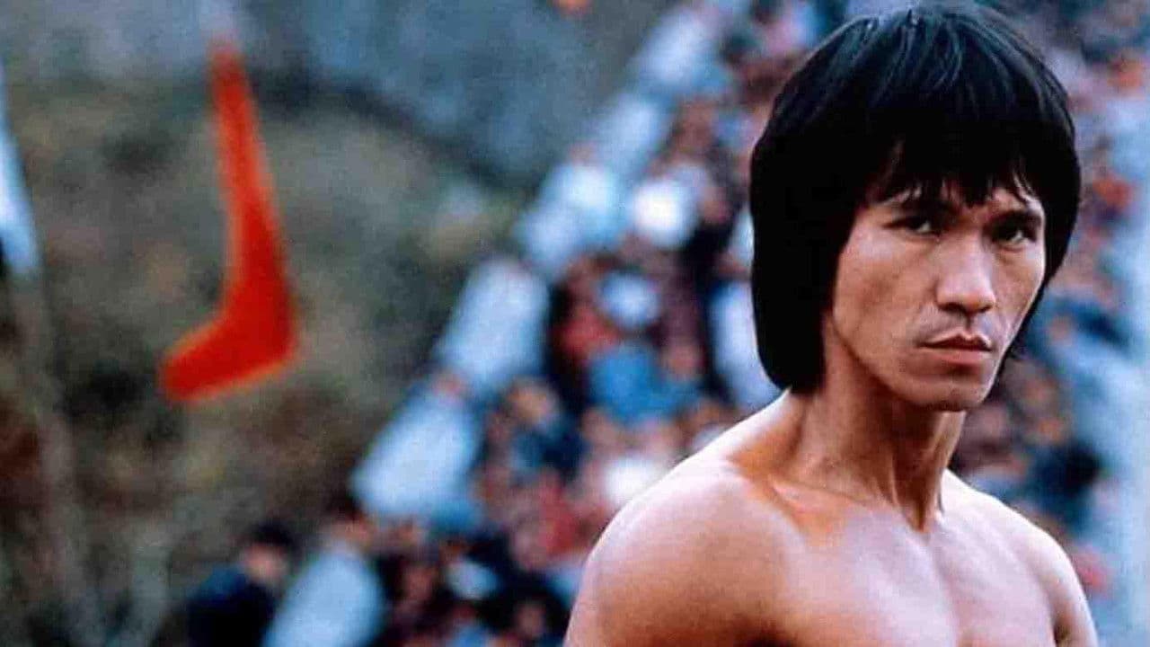 Backdrop – Ninja Over the Great Wall