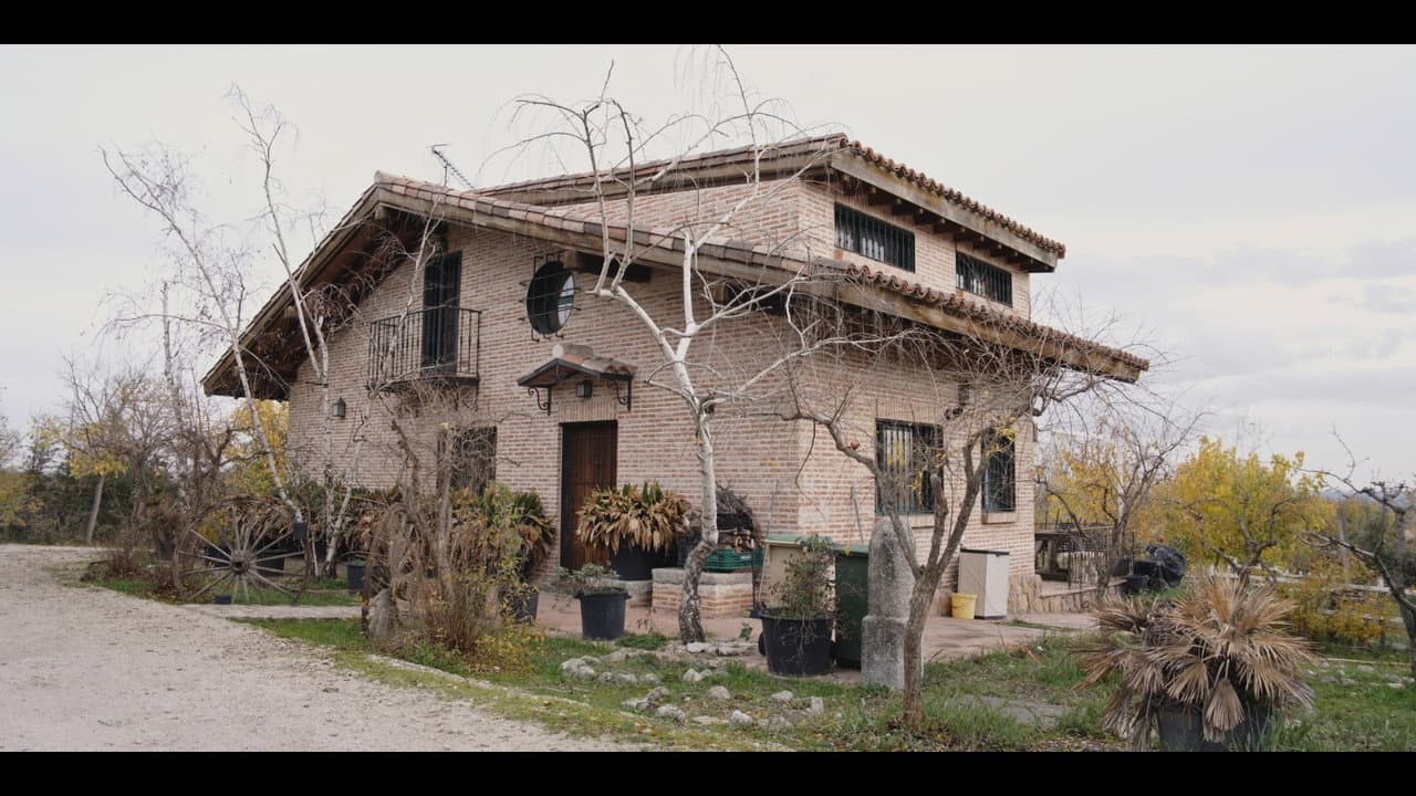 Backdrop – El Lobo y La Gacela