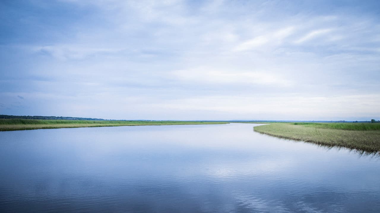 Backdrop – Bad River