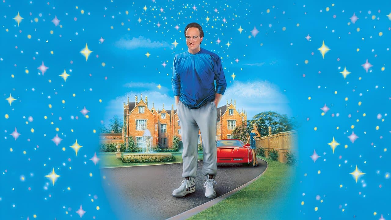 Backdrop – Mr. Destiny