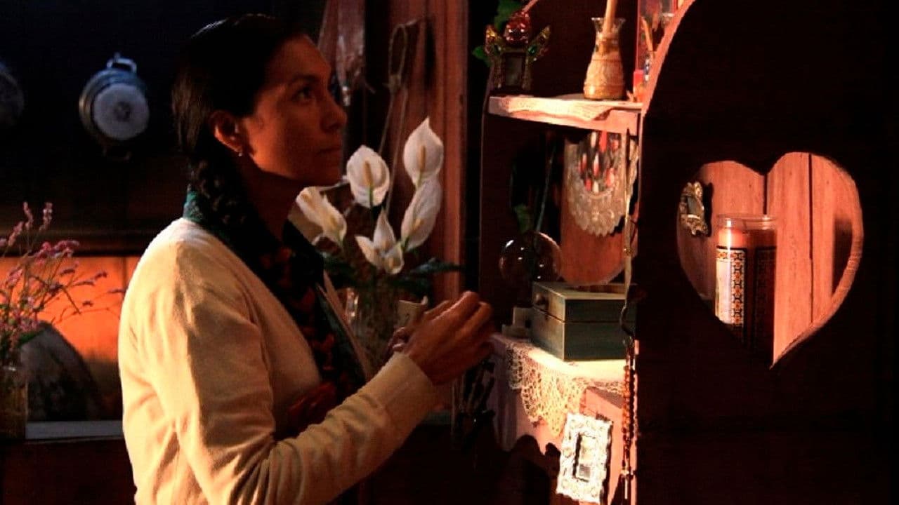 Backdrop – La carta