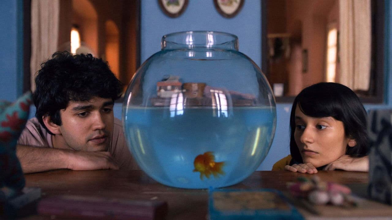 Backdrop – What are the Odds?