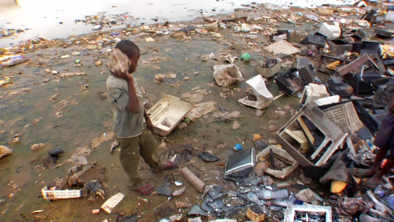 Backdrop – Terra Blight