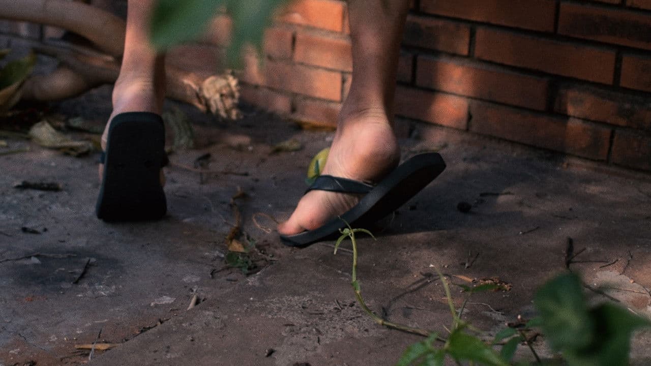 Backdrop – Palo amargo, Jeep, pomelos.