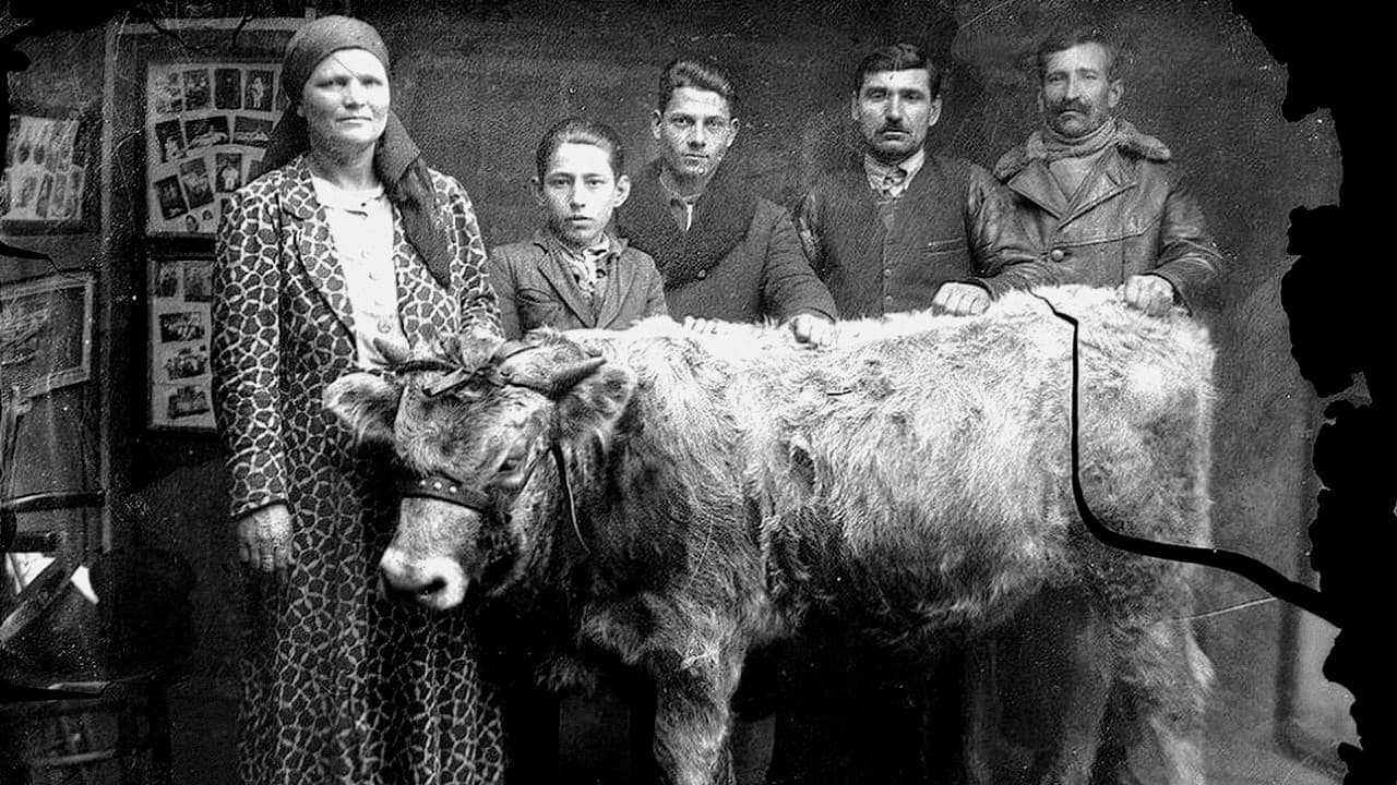 Backdrop – Ţara Moartă: fragmente de vieţi paralele