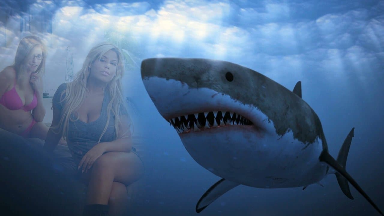 Backdrop – Shark Babes