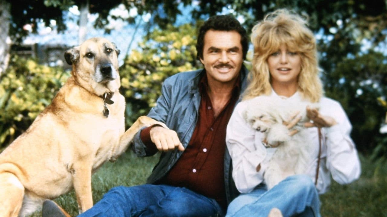 Backdrop – Zwei dicke Freunde