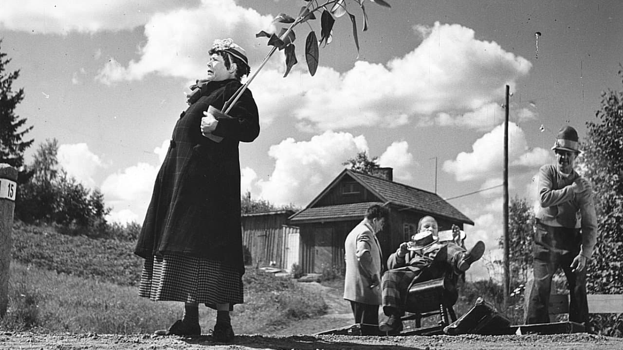 Backdrop – Pekka Puupää kesälaitumilla