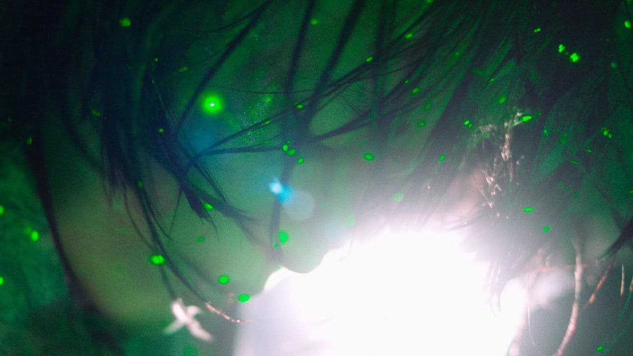 Backdrop – The Fifth Thoracic Vertebra