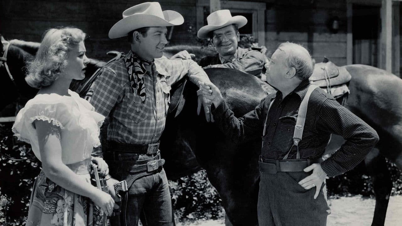 Backdrop – Under Mexicali Stars