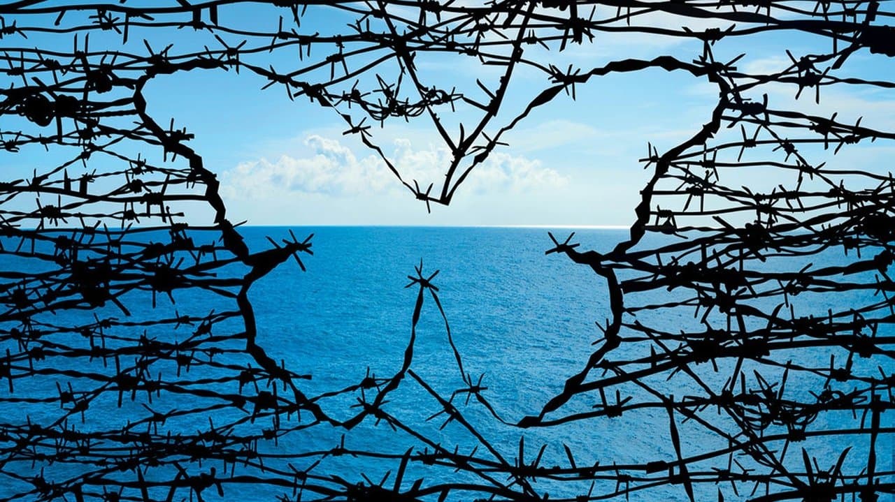 Backdrop – Papillon