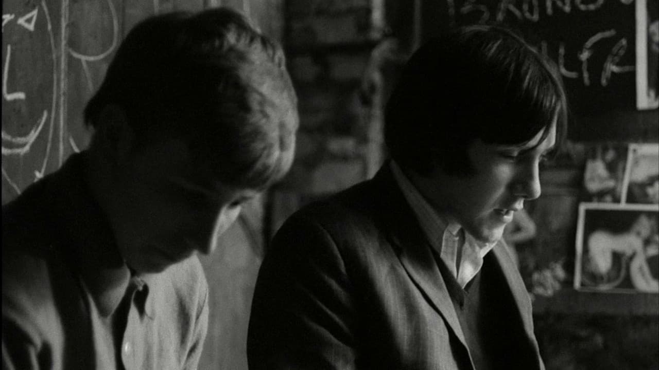 Backdrop – Bronco Bullfrog