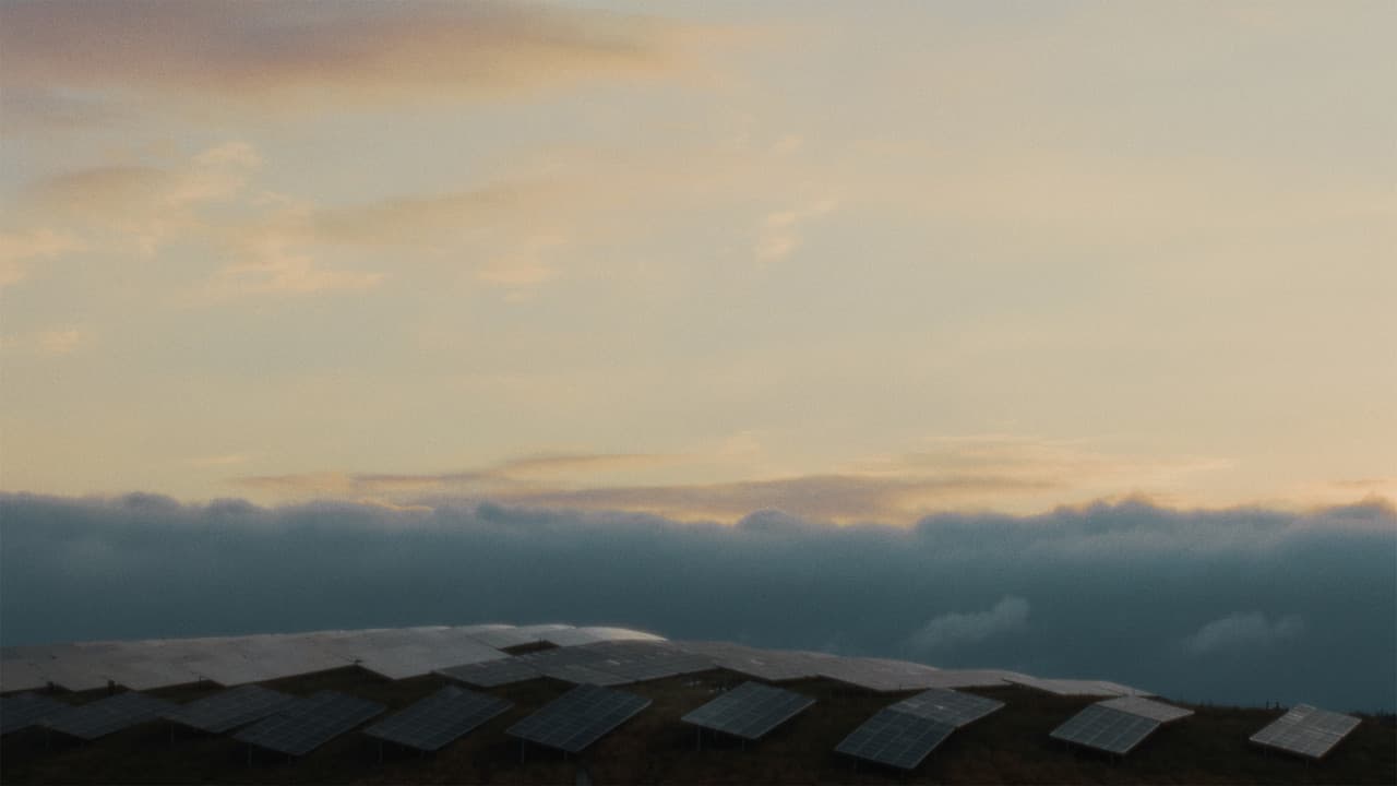 Backdrop – Sonnenkönigin