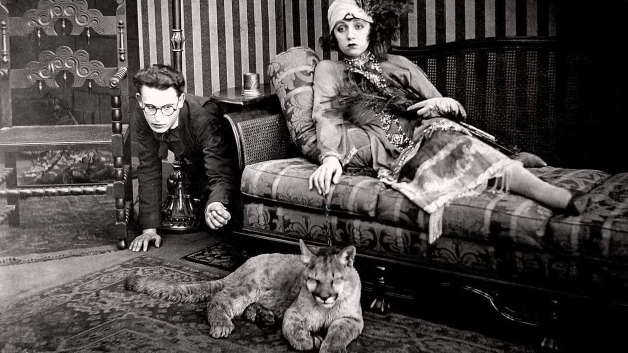 Backdrop – The Rajah