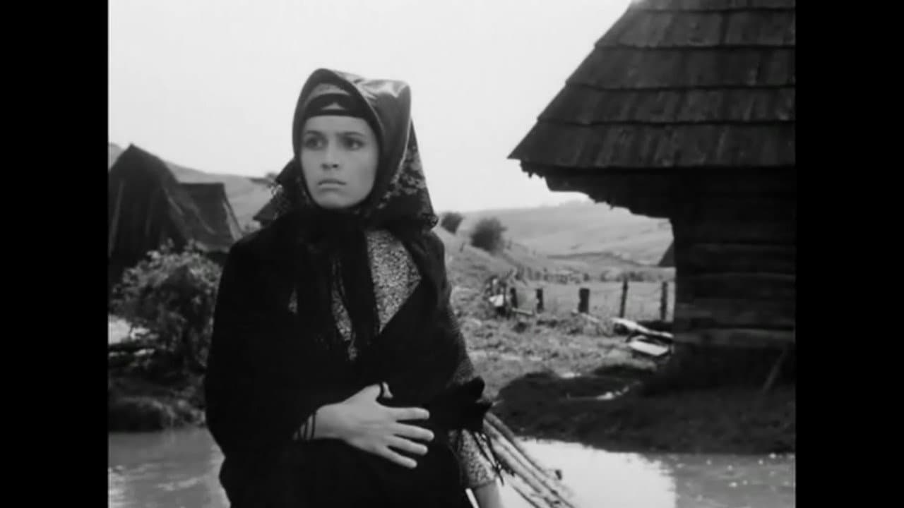 Backdrop – Živý bič