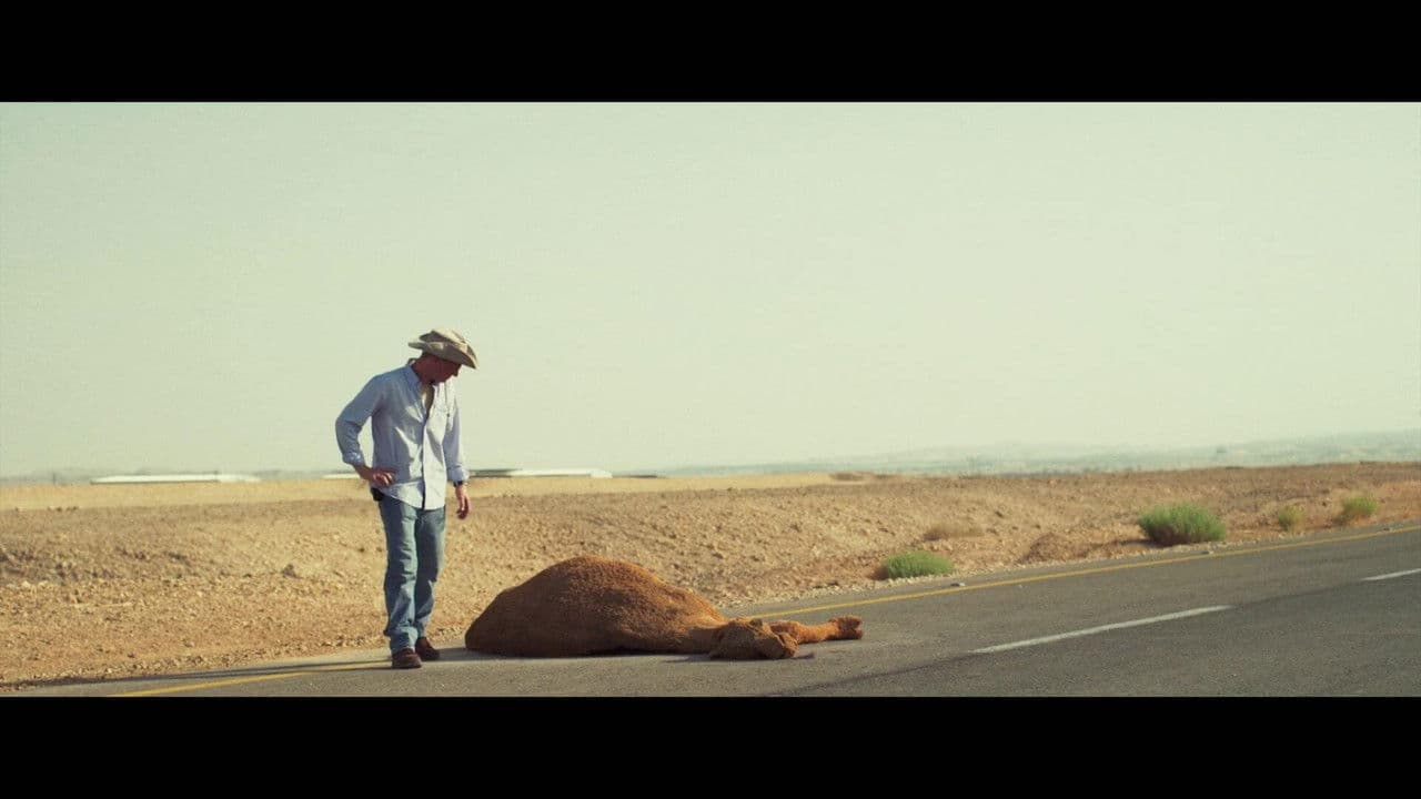 Backdrop – קילומטר 147