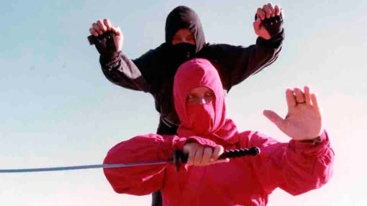 Backdrop – Diamond Ninja Force